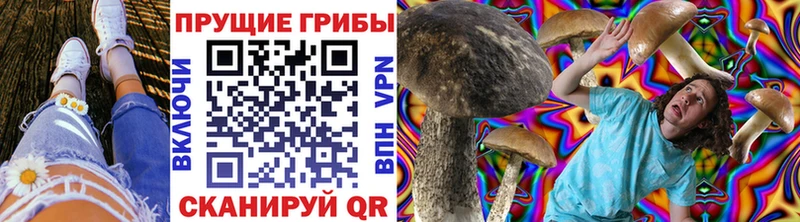 купить закладку  маркетплейс наркотические препараты  Псилоцибиновые грибы MAGIC MUSHROOMS  Ижевск 