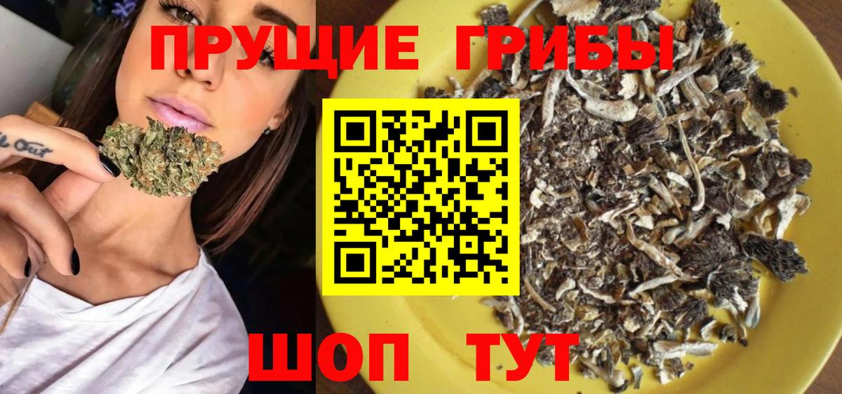 Ижевск  Галлюциногенные грибы GOLDEN TEACHER  Вход с VPN 