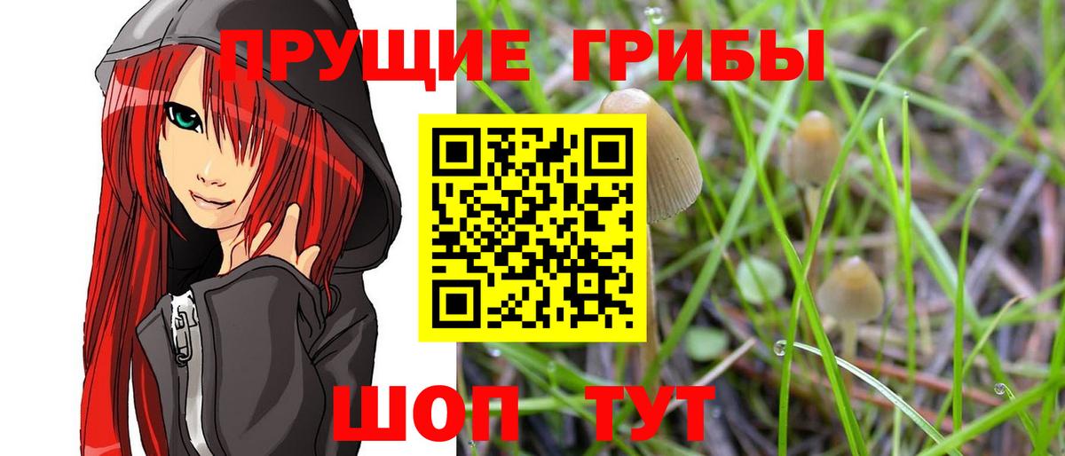 Галлюциногенные грибы мухоморы Ижевск