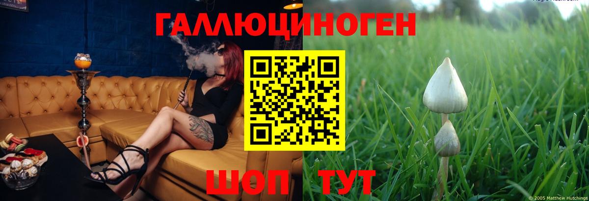Галлюциногенные грибы мухоморы Ижевск